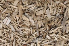 biomass boilers Godmanstone